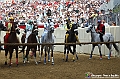 VBS_1099 - Palio di Asti 2024